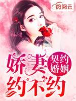 契约婚姻:娇妻约不约 红颜