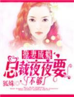撩妻成瘾:总裁夜夜要不够 狐姝