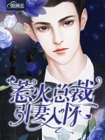 惹火总裁引妻入怀小说