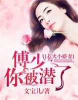 傅爷的惹祸小娇妻