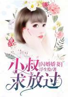 闪婚小叔叔太幸福了