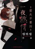一夜成瘾:前夫,坏透了