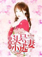 总裁的头号小逃妻免费阅读