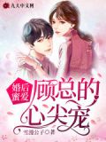 婚后再爱总裁蜜宠妻