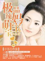 极品辣妈萌宝宝小说
