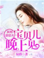 新婚甜似火:宝贝儿,晚上见 陆路