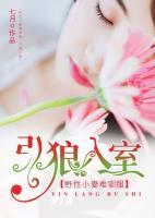 引狼进入室小说