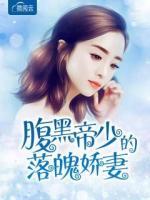 腹黑帝少小娇妻