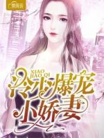 冷少爆宠小娇妻小说