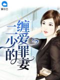 二少的夜少的二婚新妻