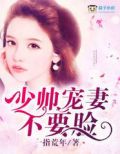 少帅宠妻太无度小说