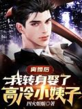 离婚后我娶了为妻全文