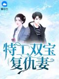 特工狂花双胞胎杀手