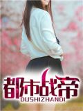都市战帝小说
