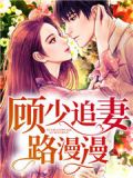 顾少追妻路漫漫短剧免费观看