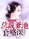 幸孕甜妻:总裁爹地套路深 夜雪橙歌