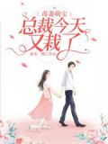 总裁毒宠小小妻