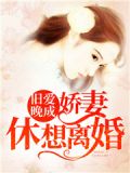 旧爱晚成娇妻休想离婚