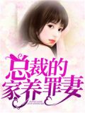 总裁的罪妻
