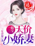 一胎二宝：天价小娇妻