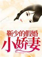 靳少的小逃妻 小说