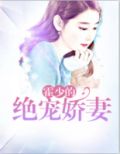 霍少的绝宠爱妻小说下载