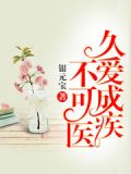 久爱成疾无窗弹