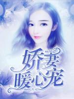 霸总宠妻超温柔免费阅读