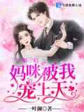 小说一胎三宝把妈咪抢回来