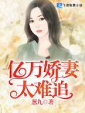 亿万娇妻太难追小说