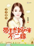 天才萌宝带球妈咪不二嫁 默桑桑