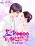 名门深宠楚少的腹黑娇妻
