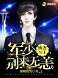 娇妻至上:陆少别来无恙 深瞳浅笑