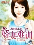总裁请小心:娇妻难训 台之梦