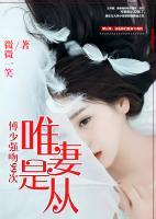 唯妻是从 小说