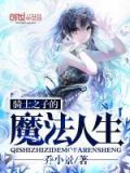 骑士之魔法动漫