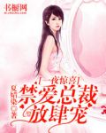 一夜惊喜禁欲总裁放肆宠免费阅读