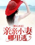 婚后再爱沈乔
