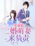一婚二爱小说