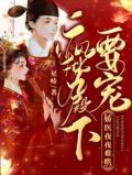 疯批九殿下要宠,娇医夜夜难哄 星峤