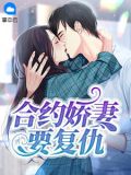 合约妻的离婚日常穿书百合小说网
