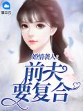 隐狼神卫小说