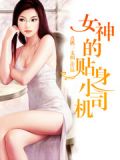 女神的贴身小司机小说