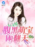 萌宝找上门妈咪请签收男主叫什么