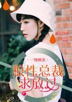 狼性总裁枕上宠