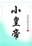 小皇帝儿子