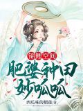 农门肥婆有点田
