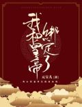 我和皇上的小说