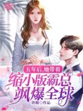 五年后她带着缩小版霸总飒爆全球 奶糖