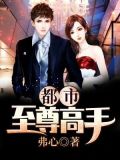 都市至尊豪婿1